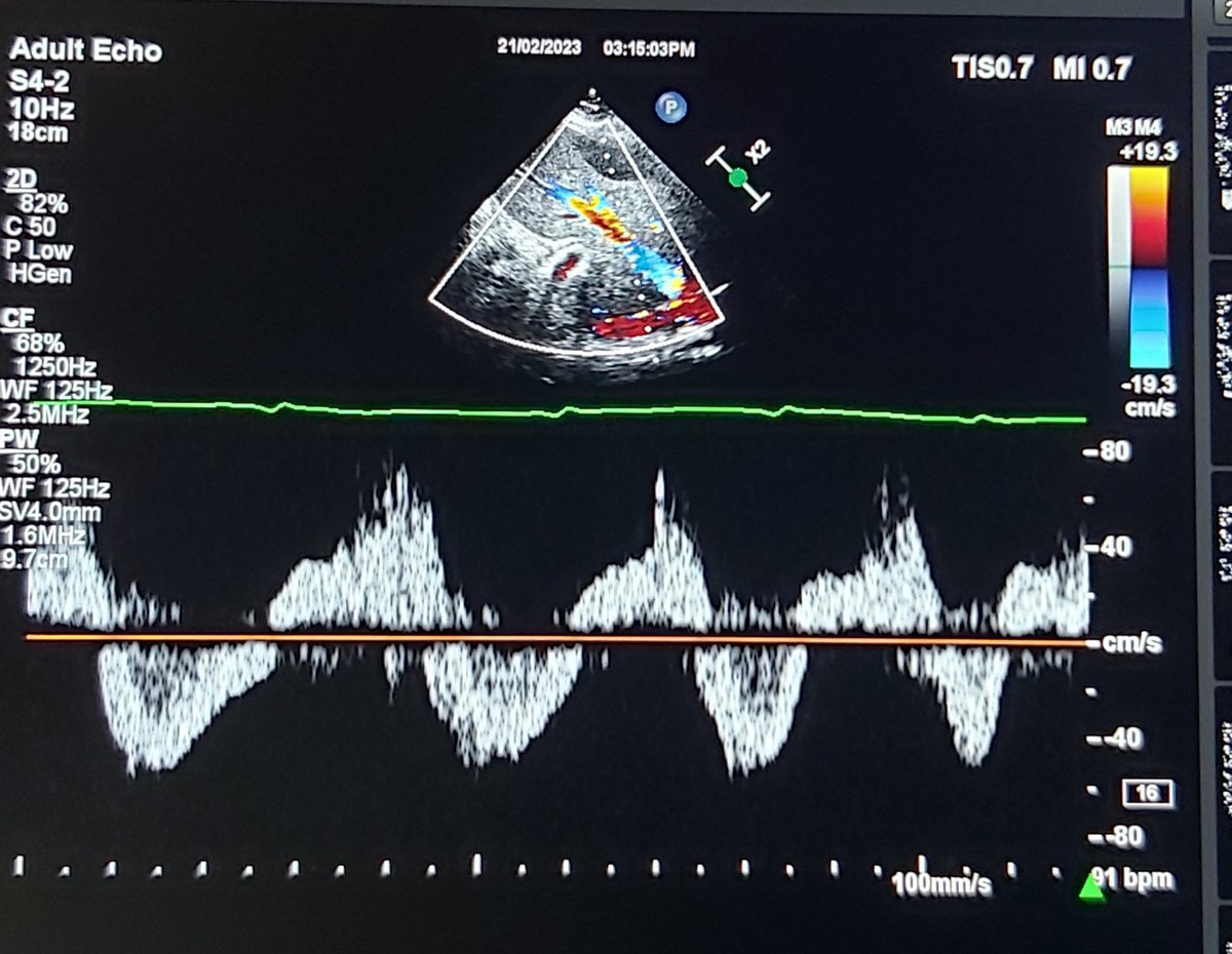 Eslam Abu-Naeima tweet media