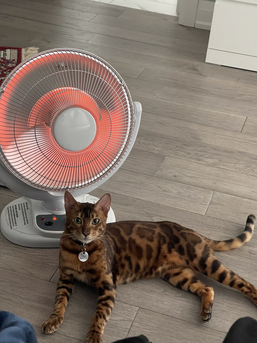 hmdxli's tweet photo. @weirdlilguys chillin ☀️ https://t.co/rdQuwOfZFd