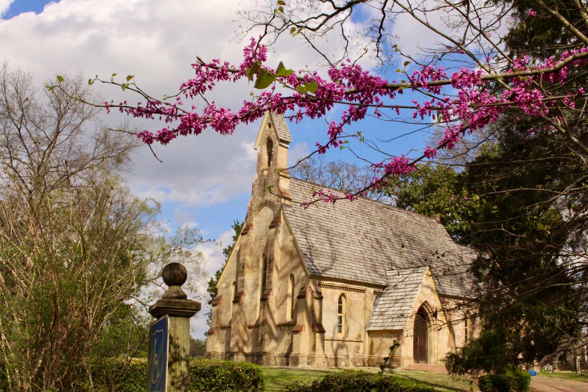 ChapelMS's tweet photo. Flowers are sprouting up all around the Chapel campus today, and these Eastern Redbuds are no exception! 

"So neither the one who plants nor the one who waters is anything, but only God, who makes things grow." 
1 Corinthians 3:7 https://t.co/9u0ZkF3vqC