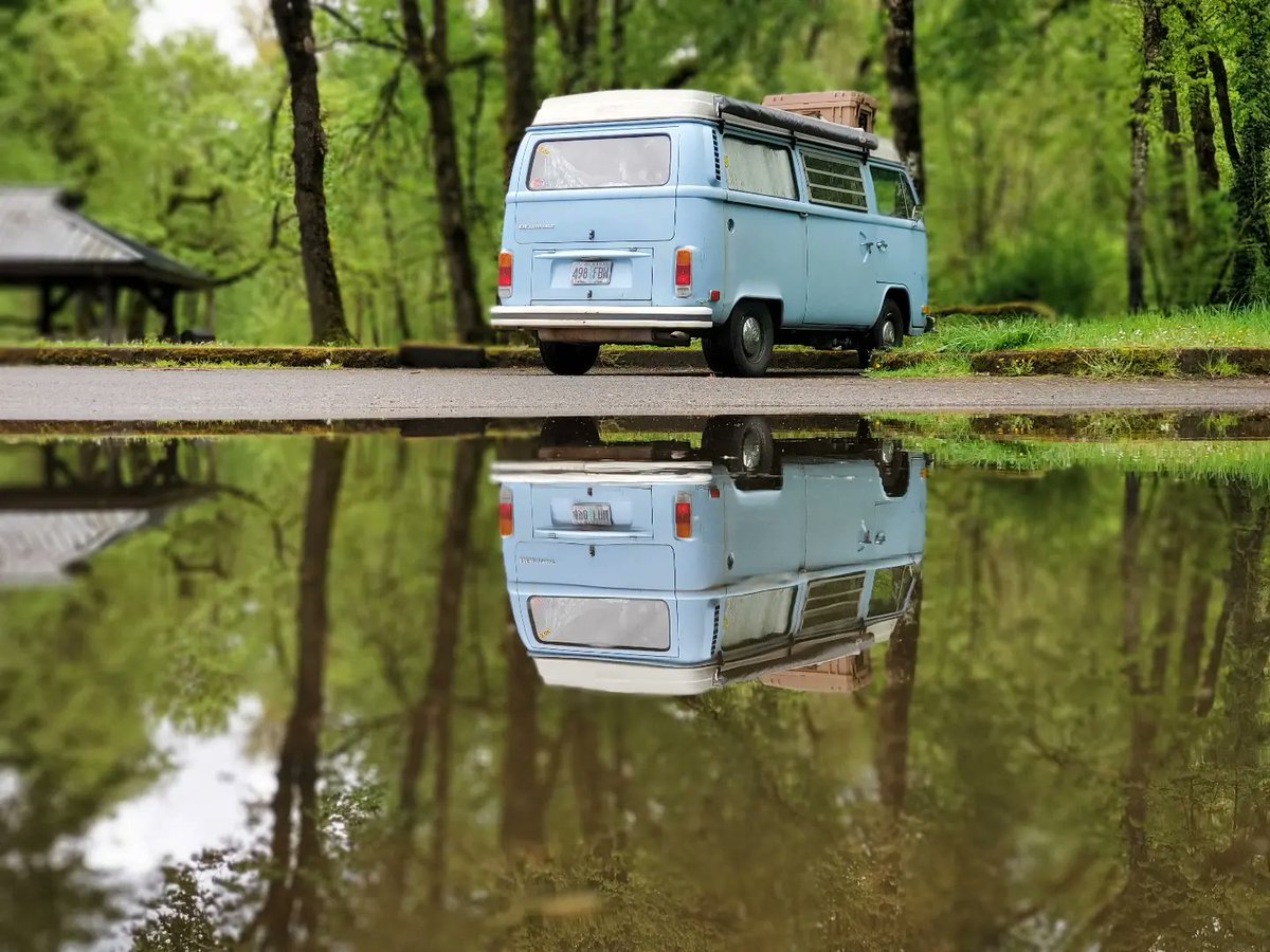 Schmit_the_bear's tweet photo. @moment Shot this with the Moment M-Series - Tele 58mm Lens #MomentMonday https://t.co/uHpgXxUCj0