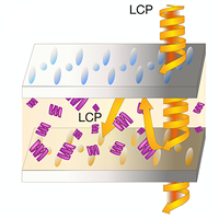 Physical Review A (@physreva) on Twitter photo PRA Letter: Chiral discrimination in helicity-preserving Fabry-Pérot cavities
go.aps.org/3YlJBax
@remiavriller <a href="/FeistJohannes/">Johannes Feist</a> <a href="/MMUSCLES_UAM/">MMUSCLES</a>
<a href="/LOMA_Bordeaux/">LOMA_Bordeaux</a> @INP_CNRS <a href="/univbordeaux/">Université de Bordeaux</a> <a href="/ifimacuam/">IFIMAC - Condensed Matter Physics Center</a> PRA Letter: Chiral discrimination in helicity-preserving Fabry-Pérot cavities
go.aps.org/3YlJBax
@remiavriller <a href="/FeistJohannes/">Johannes Feist</a> <a href="/MMUSCLES_UAM/">MMUSCLES</a>
<a href="/LOMA_Bordeaux/">LOMA_Bordeaux</a> @INP_CNRS <a href="/univbordeaux/">Université de Bordeaux</a> <a href="/ifimacuam/">IFIMAC - Condensed Matter Physics Center</a>