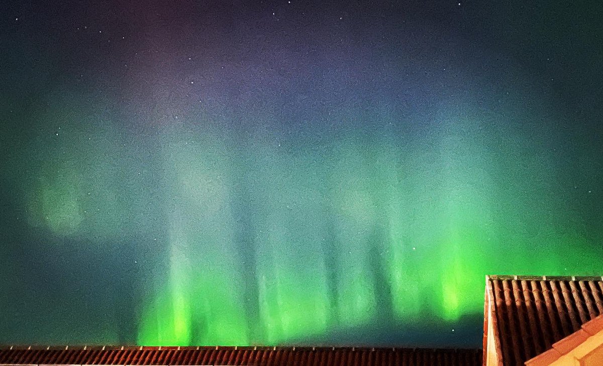 broadbayhouse tweet media