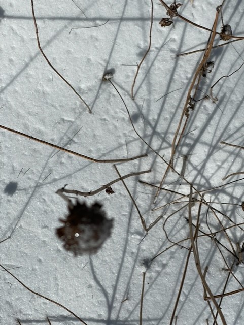 1st part this week's proGram <a href="/BillScorzari/">Bill Scorzari</a> <a href="/thetroublenotes/">The Trouble Notes</a> <a href="/LarryandTeresa/">Larry Campbell and Teresa Williams</a> <a href="/MissMargoPrice/">Margo Price</a> 
<a href="/TheWoodBrothers/">The Wood Brothers</a> Tyler Neal <a href="/rodgab/">Rodrigo y Gabriela</a> <a href="/GroomsRunaway/">The Runaway Grooms</a> <a href="/marcus_malone_/">Marcus Malone</a> <a href="/thealtons/">The Altons</a> <a href="/TheSextones/">The Sextones</a> Ft <a href="/SaunSings/">Saundra Williams</a> Los Yesterdays Vicky Tafoya Jonny Benavidez

greenarrowradio.com/2023/02/25/shi…