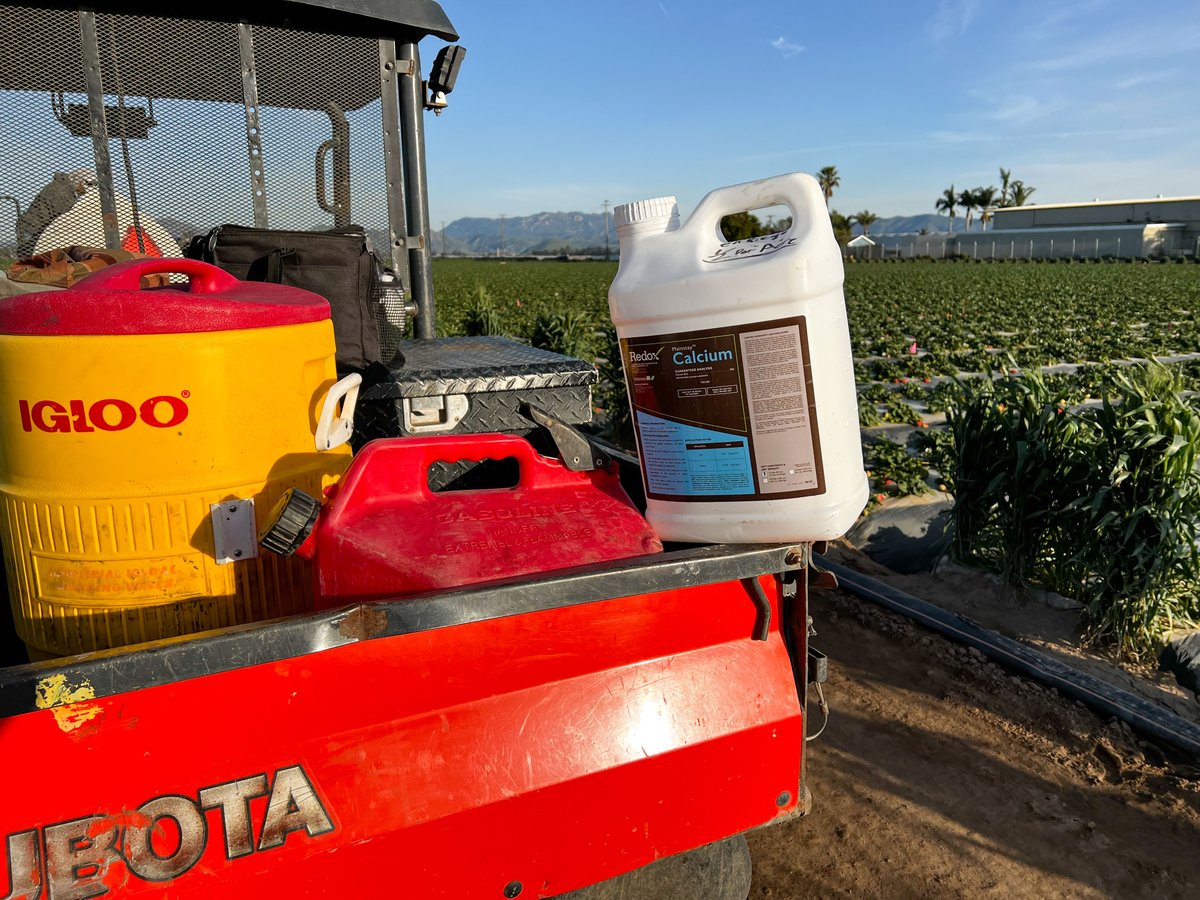 Redox on Twitter "Buttonwillow Warehouse agronomist, Fernando Mendez