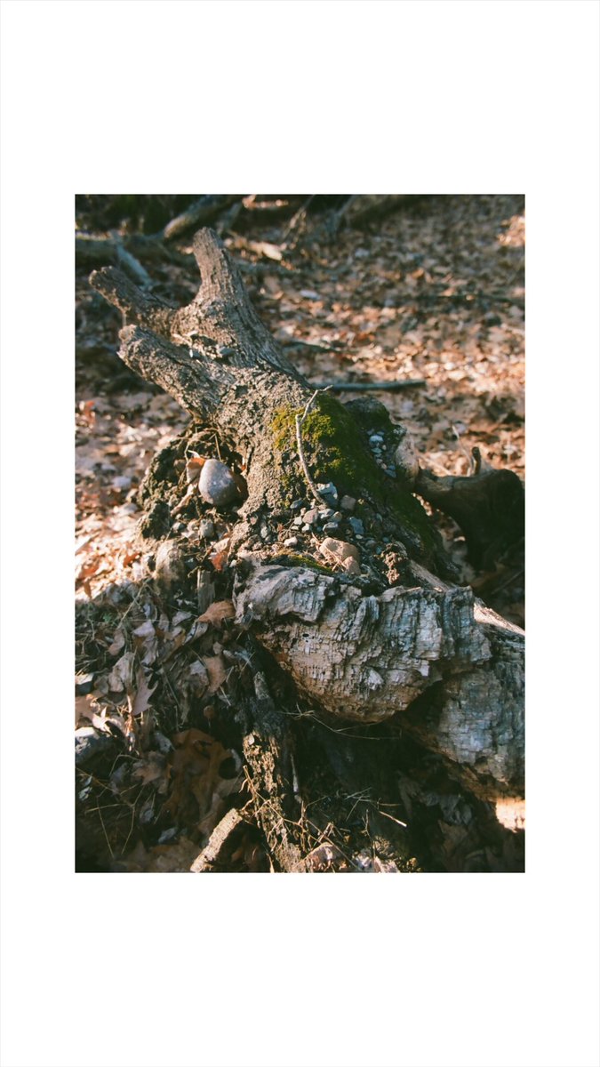 kid-winter tweet media