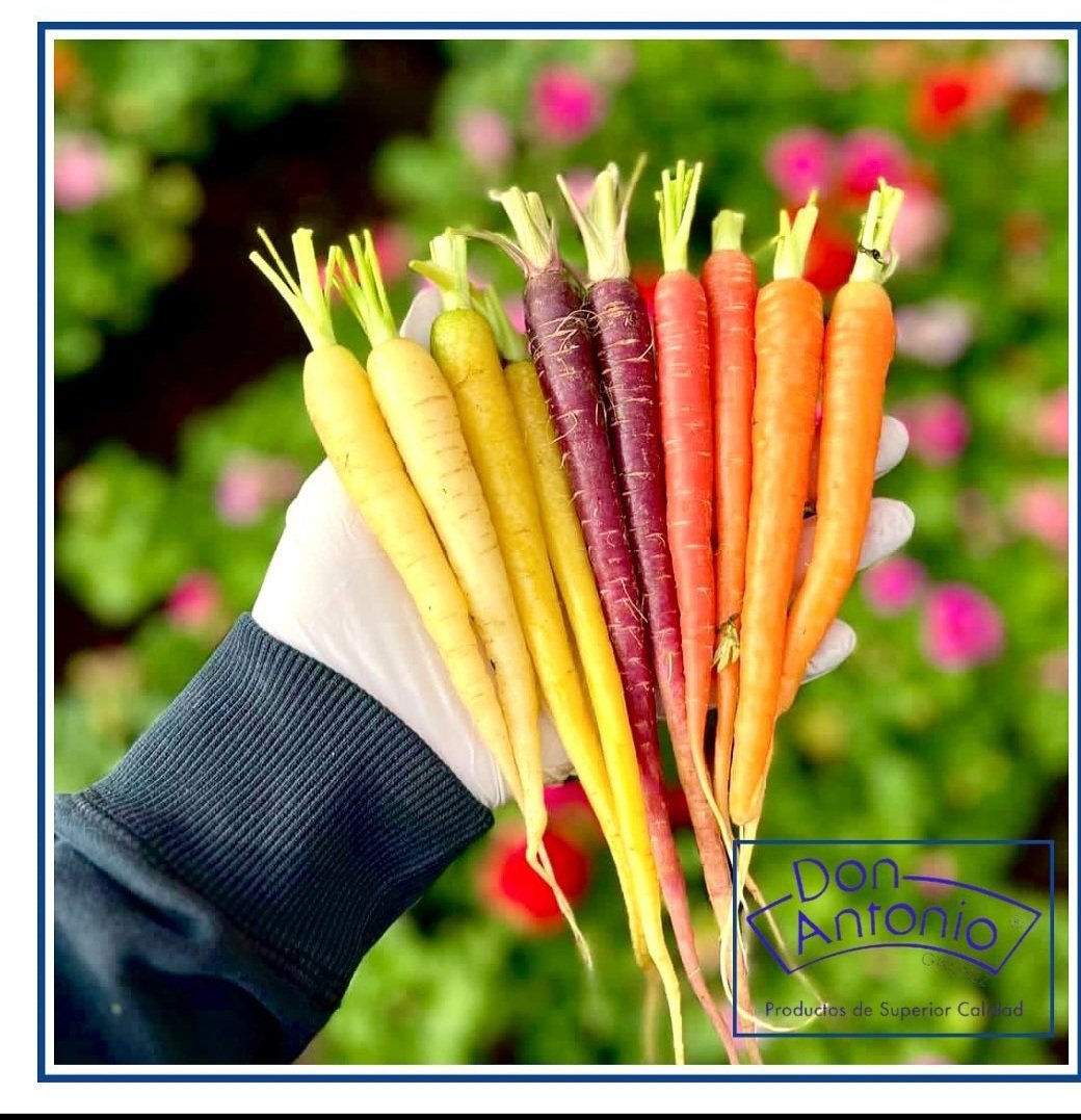 Próximamente entre nuestros productos