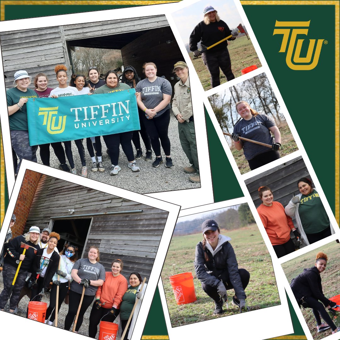 TiffinU's tweet image. Alternative Spring Break Day One ✅  

Our Dragons returned to Seven Islands Birding State park for a second year to assist with clearing out invasive plant life and preserving natural habitats 🐲 

#AlternativeSpringBreak #DragonNation #TiffinUniversity