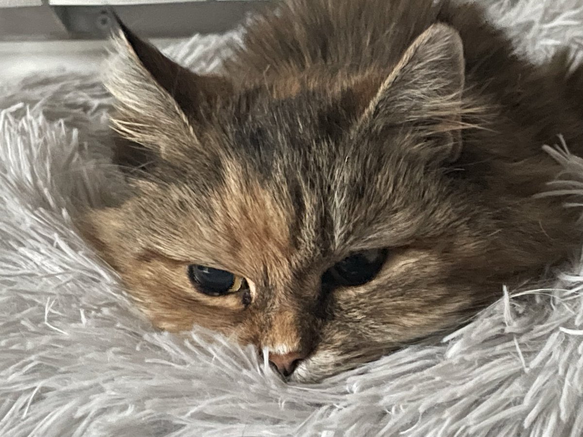 Jenny Longden tweet media