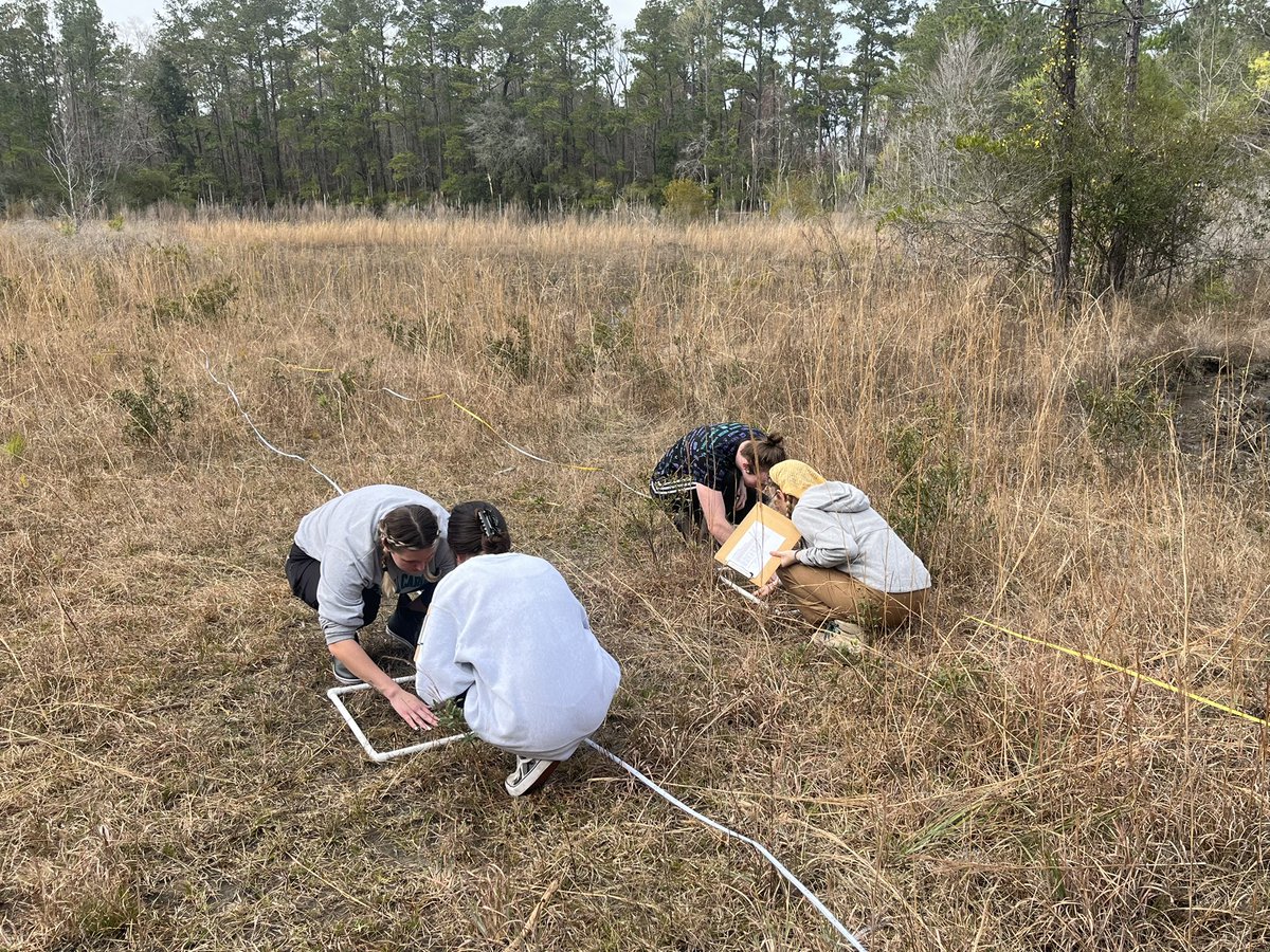 CCUScienceDean's tweet photo. Nothing like being in the field‼️ Tagged along with Prof. Amy Hill and her Priciples of Ecology BIOL 370L class at the Waccamaw National Wildlfe Refuge exploring 20m transects to identify populations of sundew and club moss. #highimpactpractice #STEM #experientiallearning https://t.co/qFqwNyQ59h
