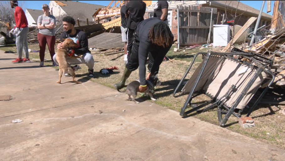 Chris Yu tweet media