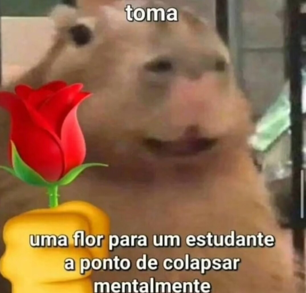 memes da vida (@memesdasuavida) on Twitter photo 