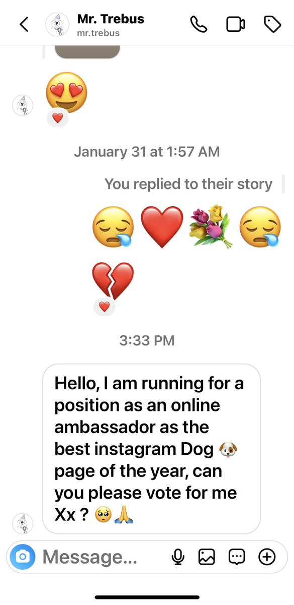CollieMoxie's tweet photo. 🚨IMPORTANT 🚨 
Many of us are friends with @trebus_mr on INSTAGRAM &amp; know there is phishing going on His account has been taken by hackers. Got this message on the human account and thought I’d blocked him from @bovver_band. I forgot and today we got this DM BLOCK &amp;REPORT TIA https://t.co/5hpjUdUEMN