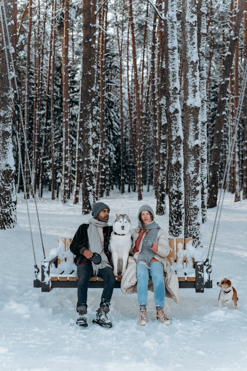 TracksGuide's tweet image. It's a Great Day for a stroll in the park!!!
#Collars #Leashes #Harnesses #LoveYourDog