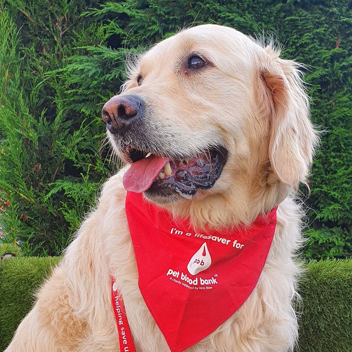 Laura Baillie Law 🌸 tweet media