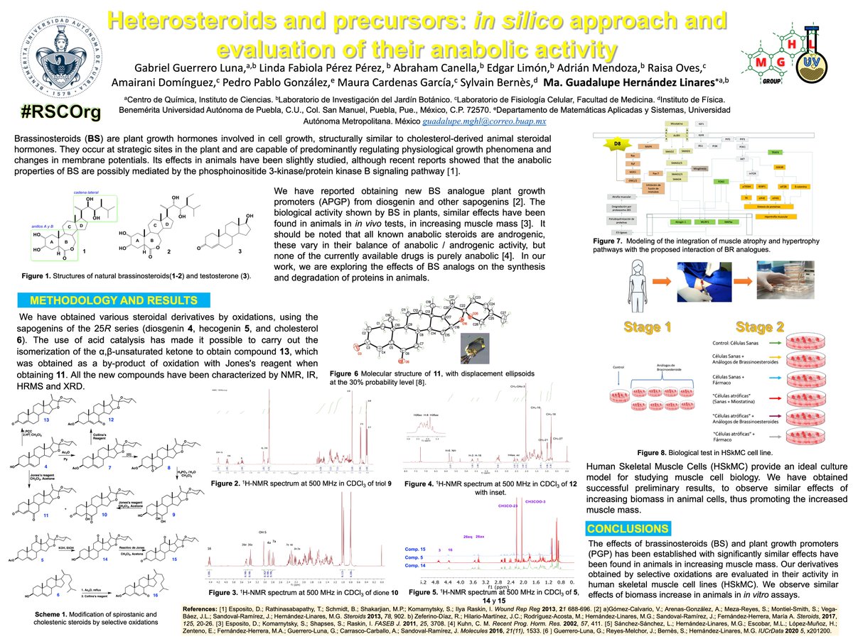 Lupita Linares tweet media