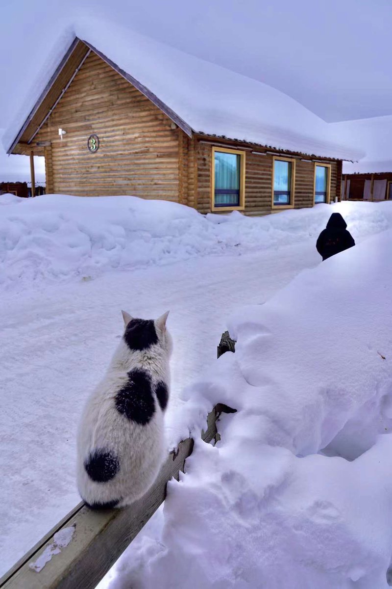 酸渣渣 tweet media