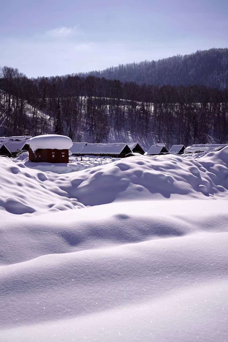 酸渣渣 tweet media