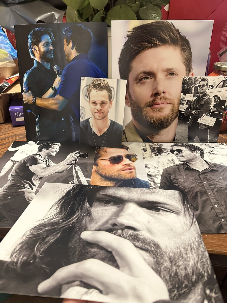 phoenixfire2912's tweet image. Wow…just wow!!!! 😍🥰 Thank you @MonicaDPhoto!!!!