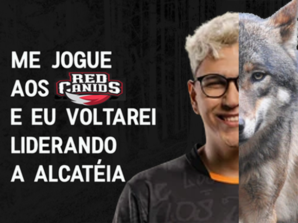 losgrandesgg's tweet photo. Lobinhos adestrados!

#goLOS https://t.co/nkCiH4d9Lv