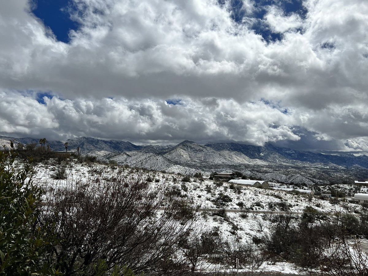 EMERGE_BII's tweet photo. A wonderful snowy welcome for our first in-person EMERGE retreat!! The beautiful snowy landscape at @B2science melted away yesterday afternoon! Looking forward to a great 3 days of working together and exploring our science! #ecosystem #SciTS https://t.co/JQdn051FP9