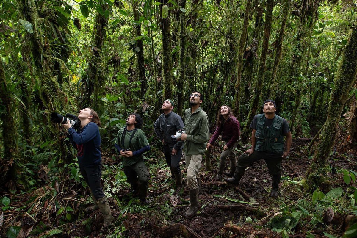 Reserva: The Youth Land Trust tweet media