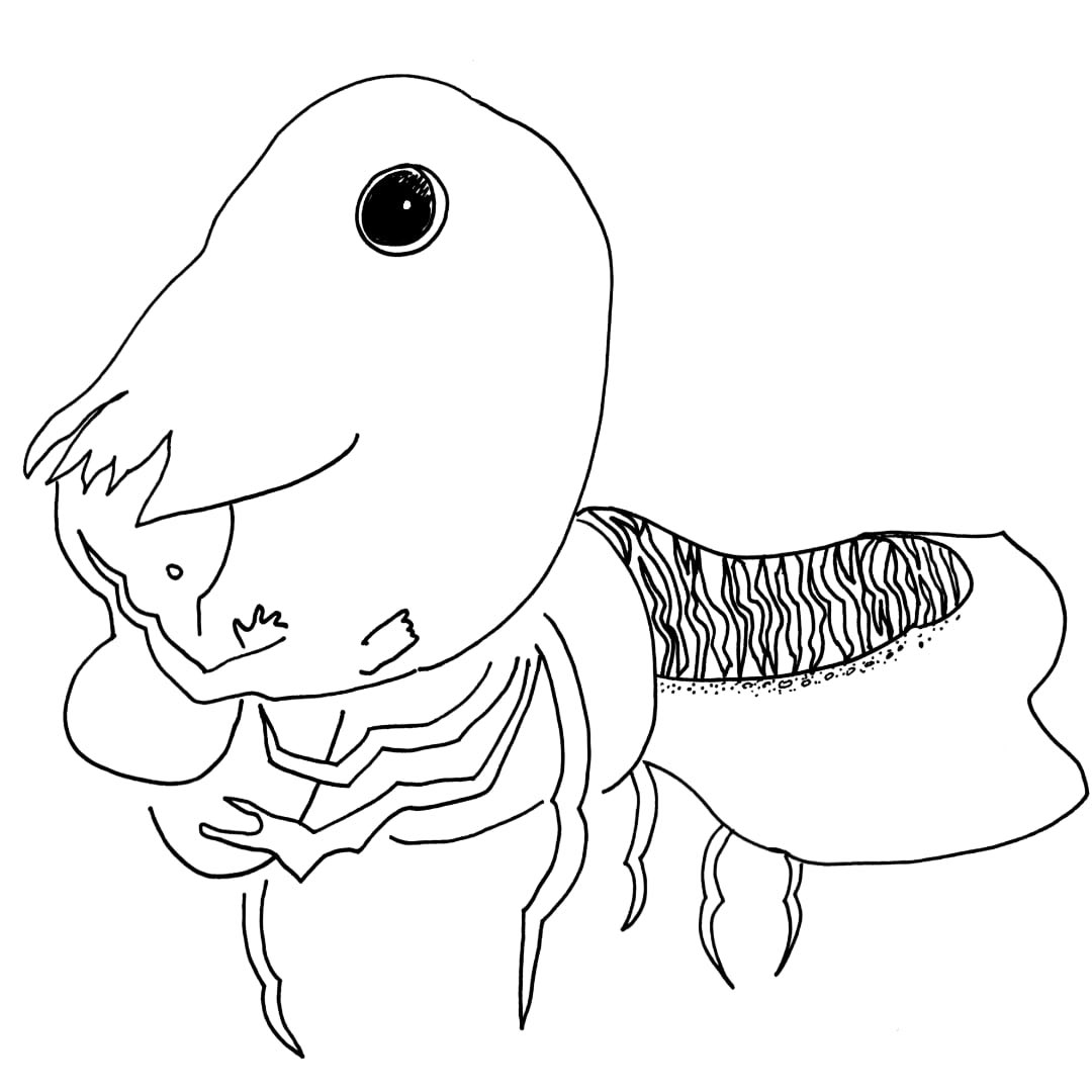 Sarah Herman tweet media