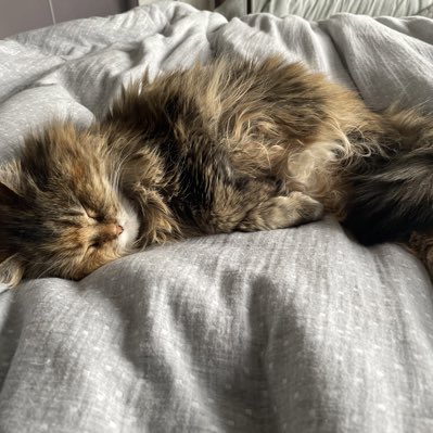 Jenny Longden tweet media