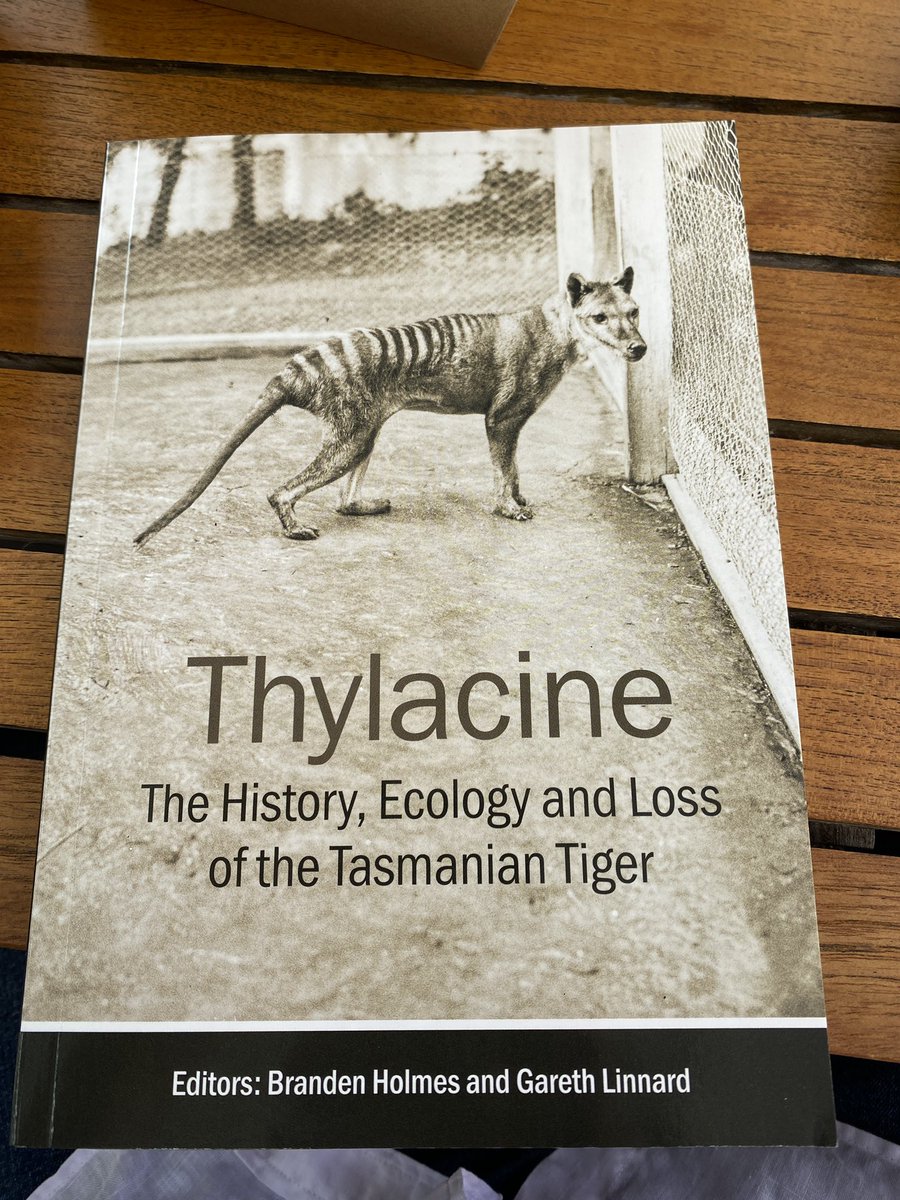 Look what came in the mail! Terrific range of facts, perspectives and opinions about the thylacine in this new book edited by @Athedeism and Gareth Linnard. Spoiler for p168: @sydneyrats and I are still adamant that de-extinction is a bad idea for conservation.