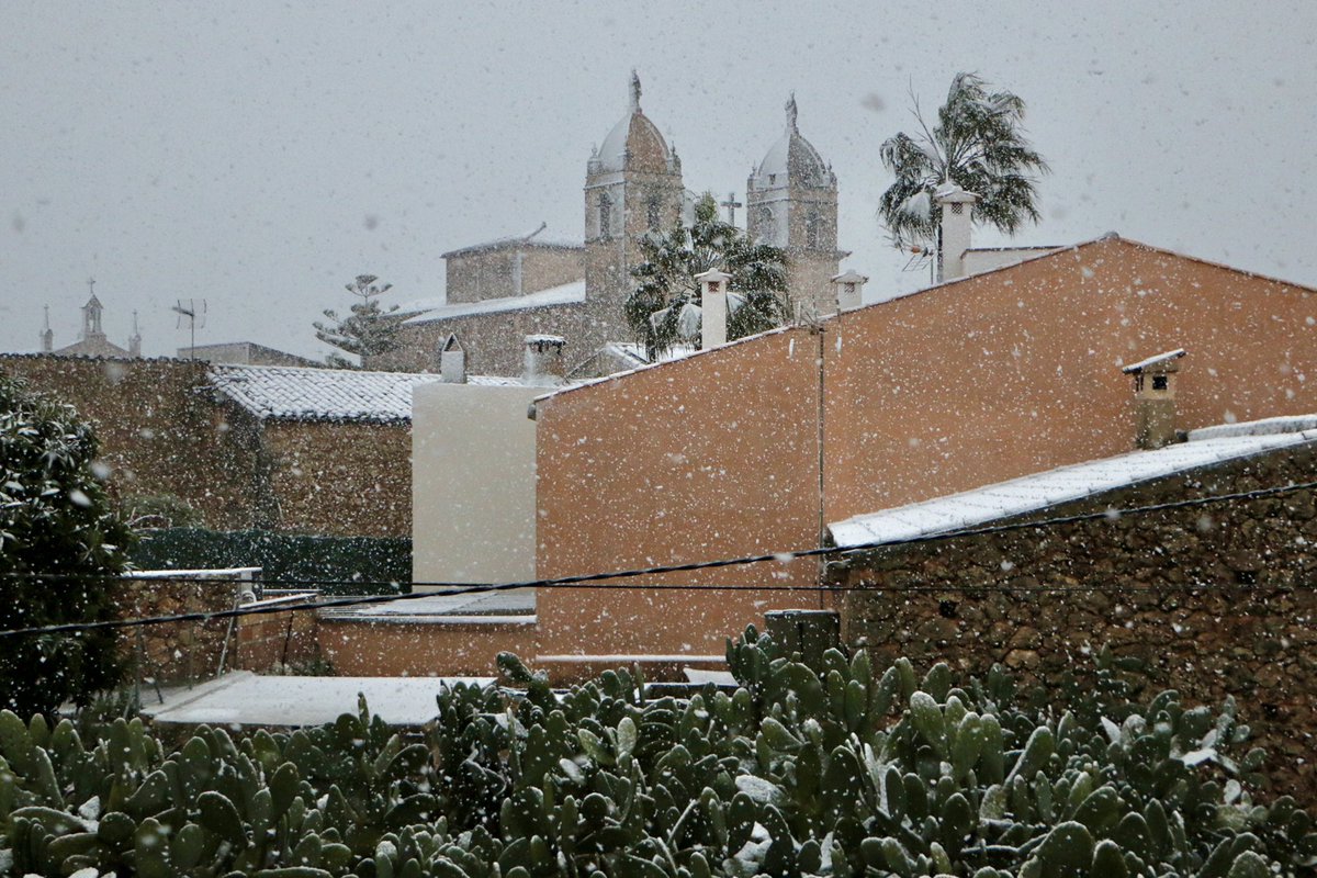 xescserrano's tweet photo. Pina ❄️ Algaida (Mallorca) https://t.co/AbhSYFgJvQ