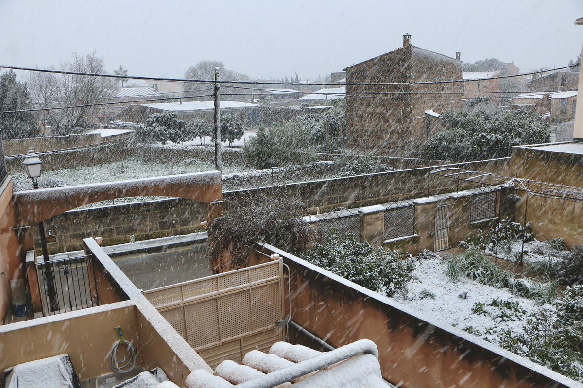 xescserrano's tweet photo. Pina ❄️ Algaida (Mallorca) https://t.co/AbhSYFgJvQ