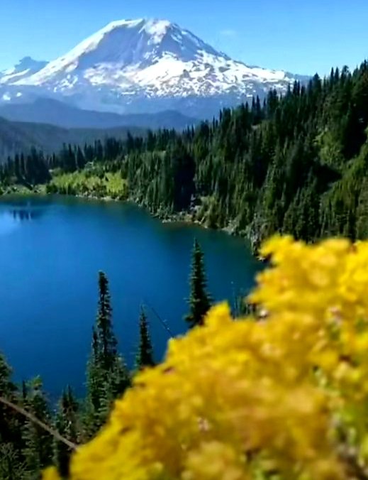 No me gusta este paisaje, le falta nieve, los árboles más juntos y las flores rojas. Broma, es maravilloso !!!!