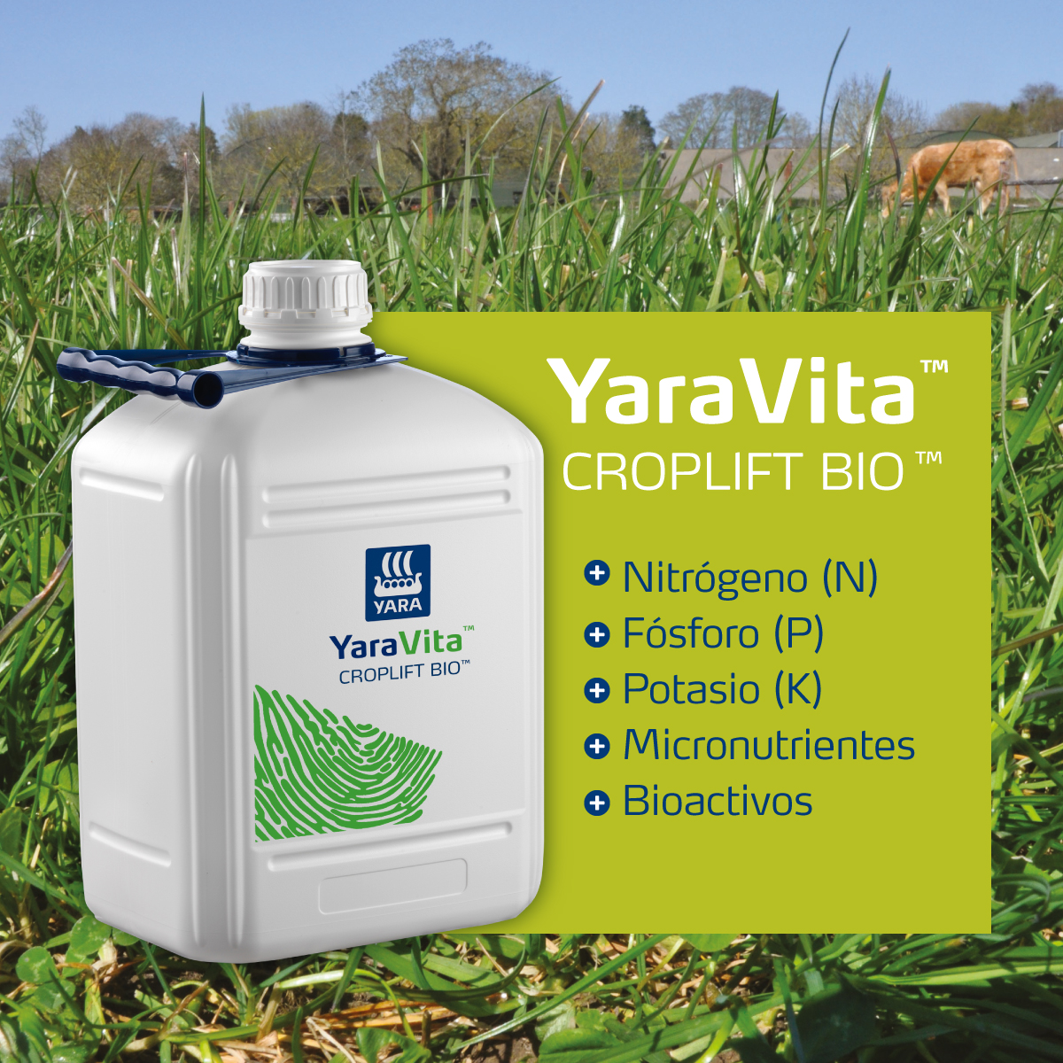 ¿Sabías que YaraVita CROPLIFT BIO permite aumentar la productividad en pasturas? Aplicá el fertilizante foliar más completo y versátil de nuestro portafolio.

#ConfíaEnYaraVita #NutriciónFoliar