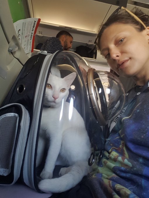 Enki's first flight ❤😍 https://t.co/eqf45T7jNU<a href="/tag/gaming"class="tags"><span>#gaming</span></a><a href="/tag/squirting"class="tags"><span>#squirting</span></a>