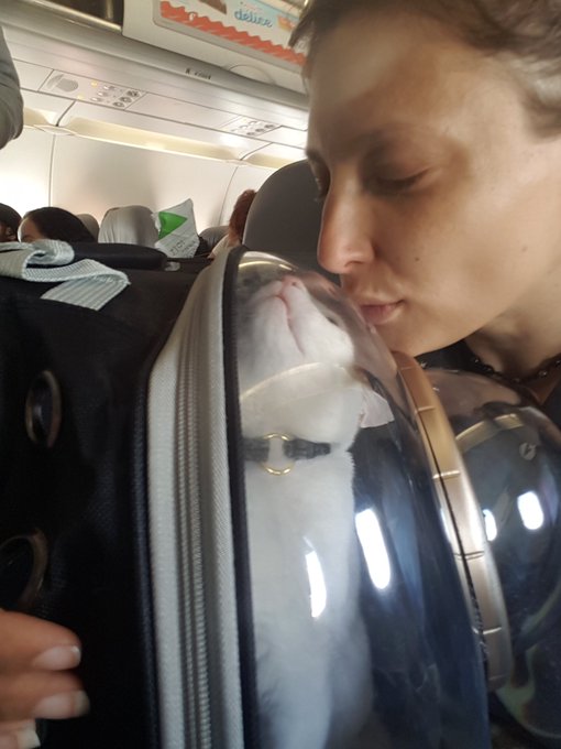 Enki's first flight ❤😍 https://t.co/eqf45T7jNU<a href="/tag/gaming"class="tags"><span>#gaming</span></a><a href="/tag/squirting"class="tags"><span>#squirting</span></a>