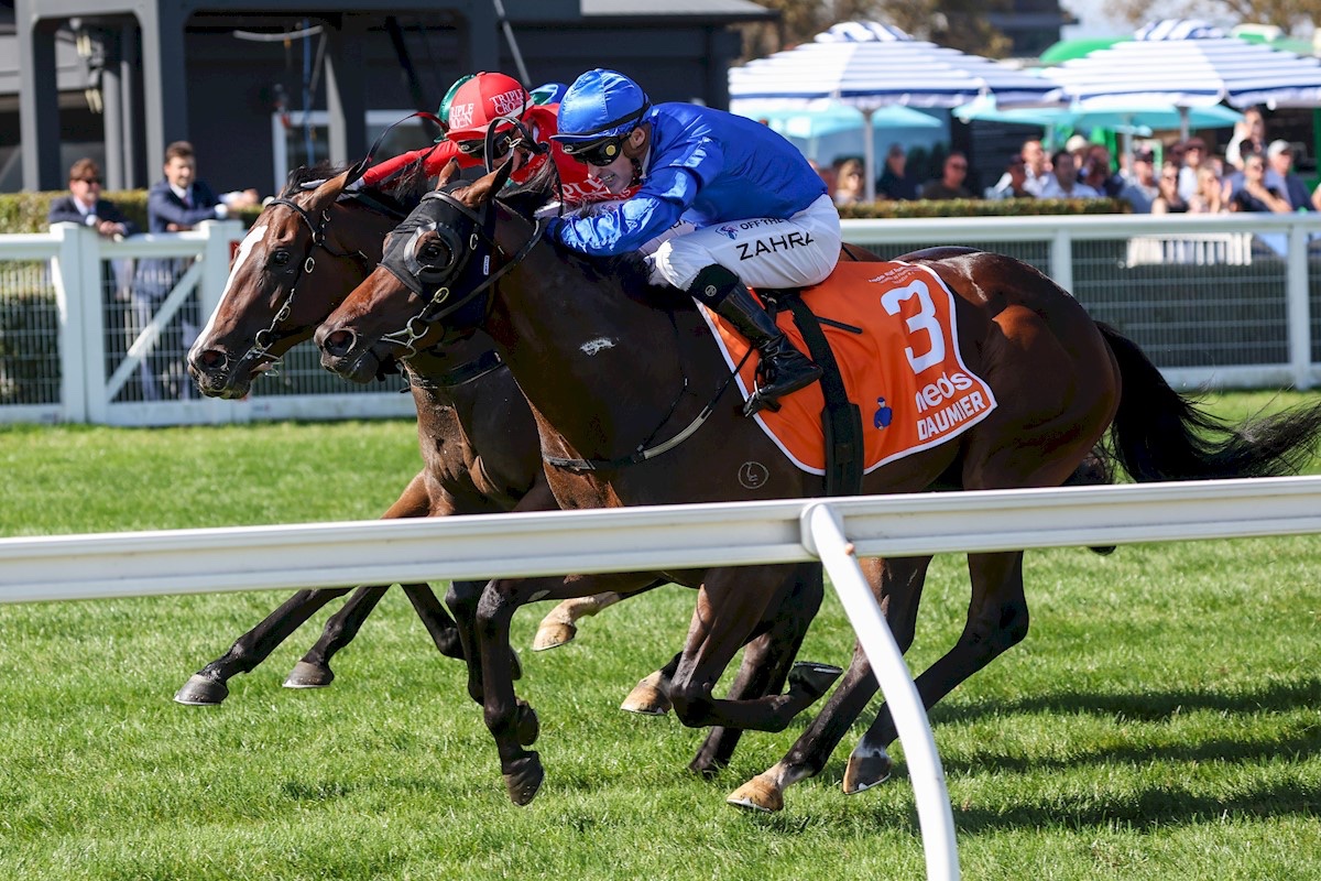 FreedmanRacing's tweet photo. NEWS: Group 1 Blue Diamond Stakes winner Daumier has been retired and still stand at @TwinHillsStud.

He was only G1 winning two-year-old colt in 2022 as well as running 4th in both the Golden Slipper &amp; Sires.

We wish @TwinHillsStud &amp; @godolphin all the best with his future. https://t.co/whsZA1IVAy