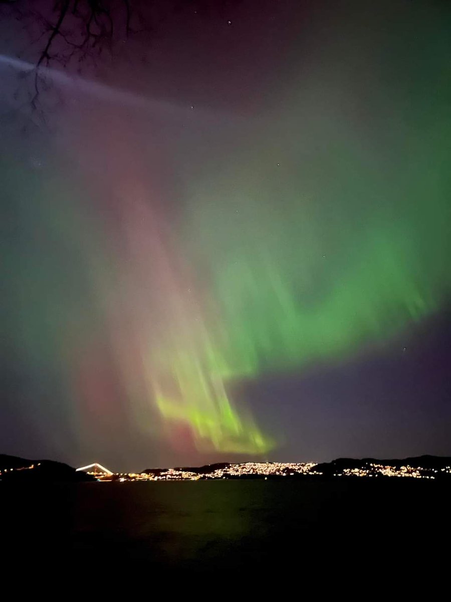 luserrano's tweet image. Así, de la nada, aparecieron.
Bergen &amp;lt;3