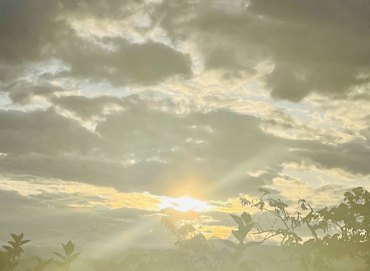 DeicyC✍️ tweet media