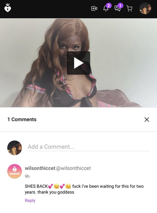 I do not mince words in this new sensual humiliation clip (or ever). A ruthless and genuine ego-fucking<a href="/tag/mvsales"class="tags"><span>#mvsales</span></a>