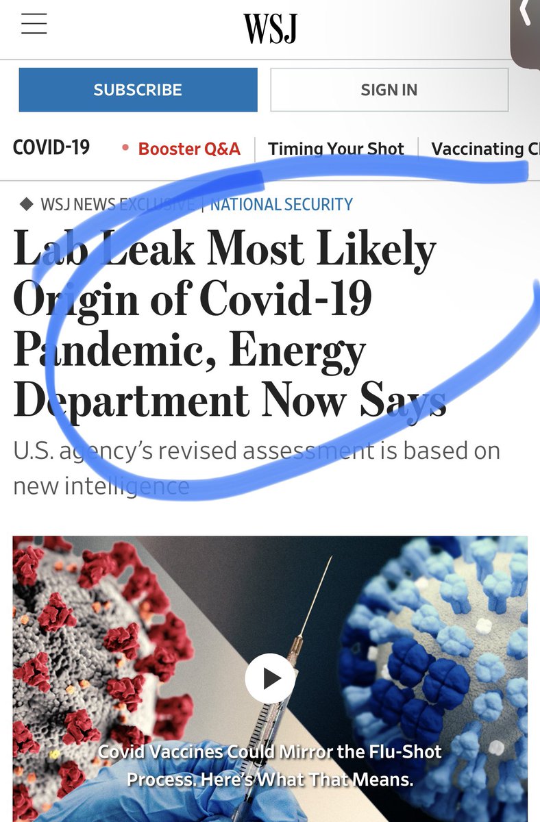 DillardVicki's tweet photo. Media outlets came for @DillardVicki over this topic. It’s why I created an offline webinars & invited @RizzaIslam to inform you. Yes, it’s plausible. The question is: Why is the US admitting it NOW? Stay tuned for my commentary. #chinalab #Russia https://t.co/16TVymzoeQ