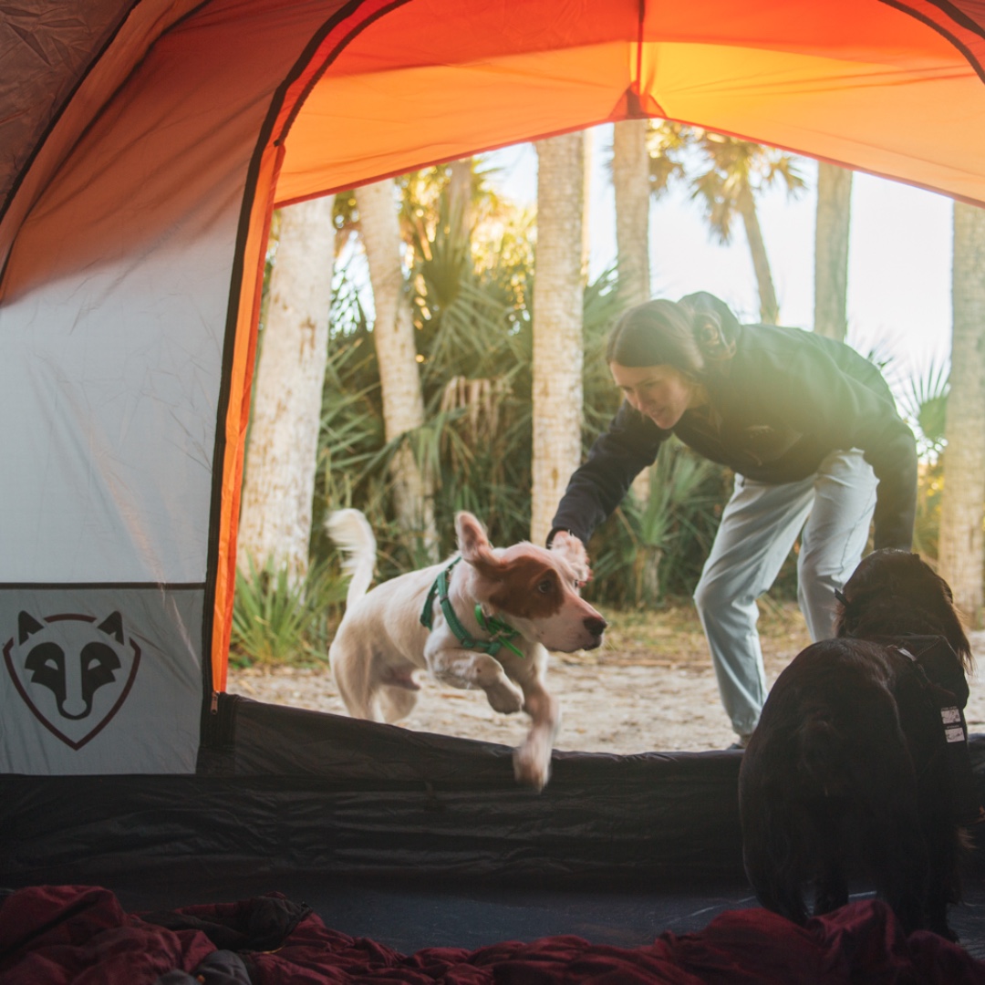 RightlineGear's tweet photo. POV: You wake up and it's not snowing and freezing out 🤤 

Shop: https://t.co/JYS8kUKv7r

#RightlineGear https://t.co/DrYkkZN5hm