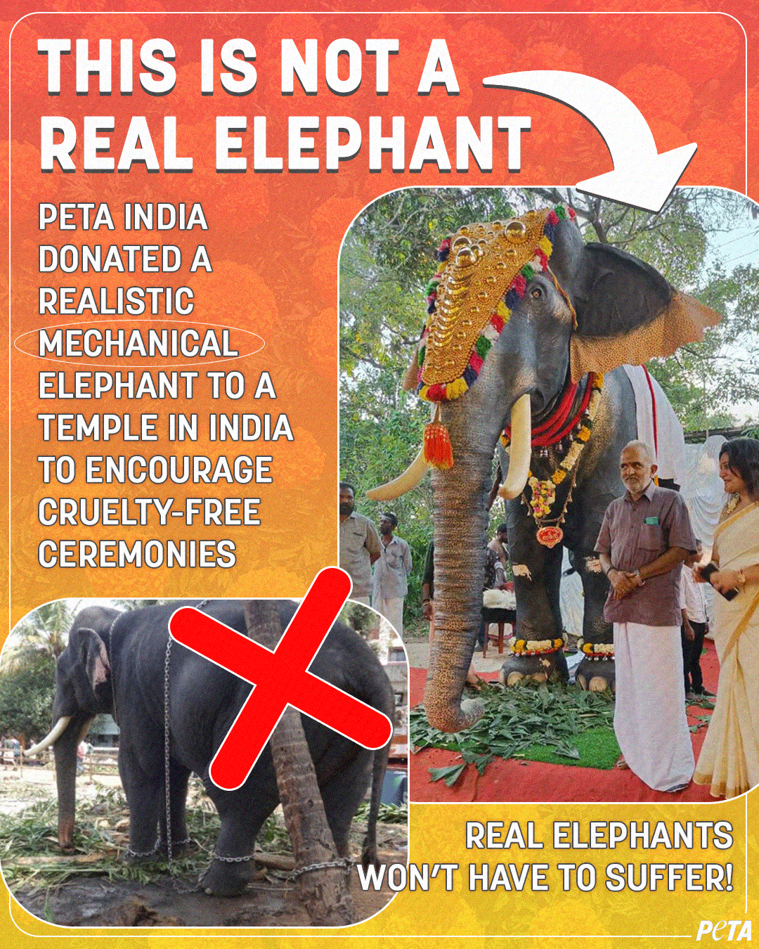 PETA on Twitter "Irinjadappilly Raman, the mechanical elephant, will