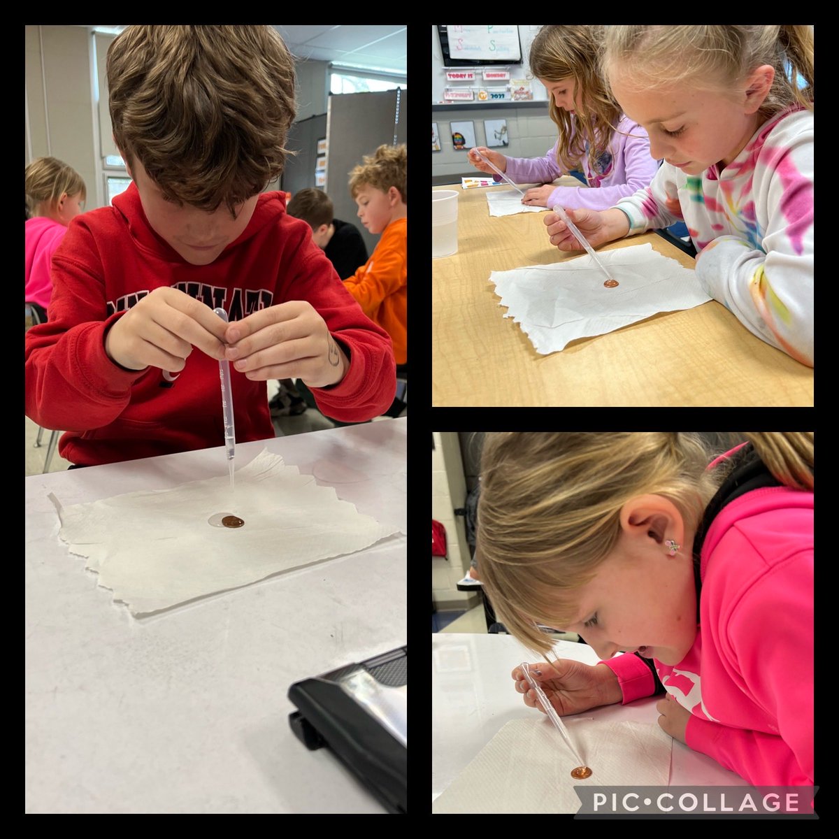 Jen Knake tweet media