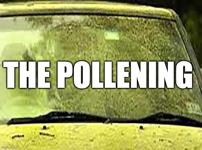 GirlThatGrills's tweet photo. Two things certain in the South : Pollen is here and the Murdaugh fam will continue to get away with murder #Murdaugh #MurdaughMuders https://t.co/21e4zZyQao