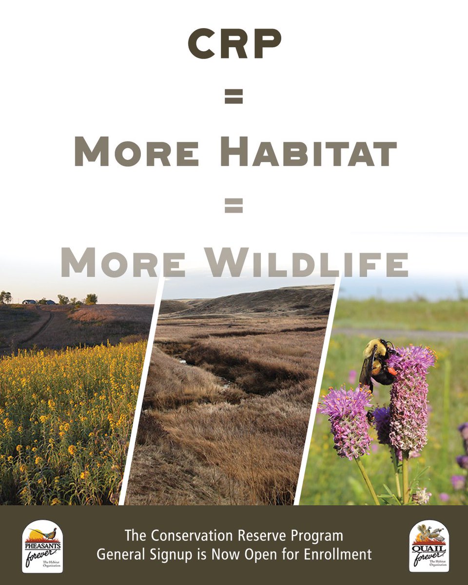 Pheasants Forever tweet media