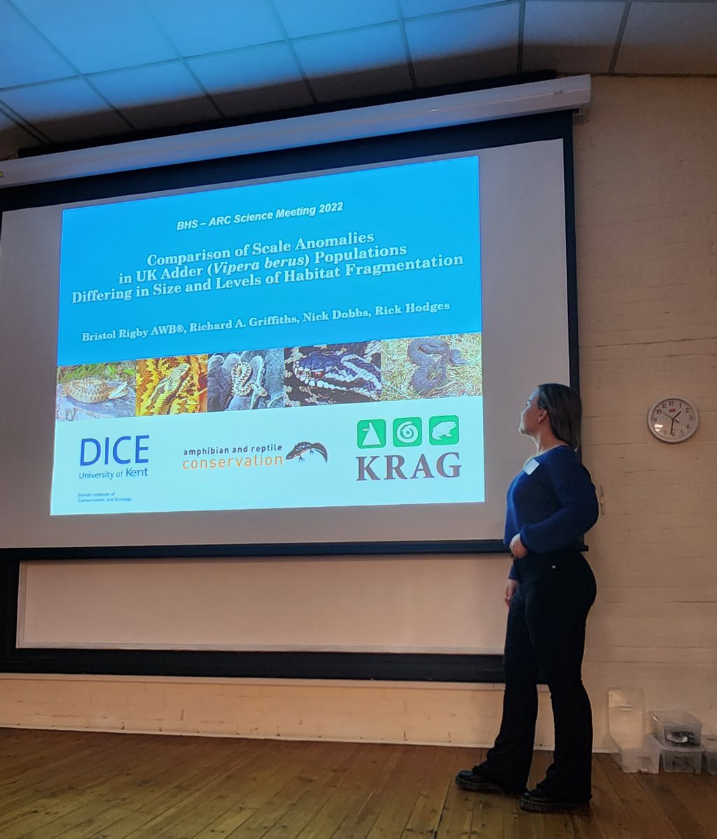 A big thank you from across the pond to the <a href="/BritishHerpSoc/">British Herpetological Society</a> (BHS) and <a href="/ARC_Bytes/">Amphibian and Reptile Conservation</a> (ARC) for inviting myself and fellow <a href="/DICE_Kent/">DICE Kent</a> alumni to speak at the 2022 Bournemouth conference. Privileged to present my adder research alongside some awesome people and talented researchers!