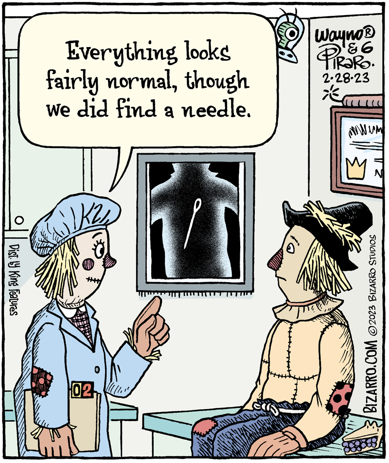 Hay X-Ray
#comics #cartoons #Bizarro #Scarecrow #XRAY #chestxray  #needles