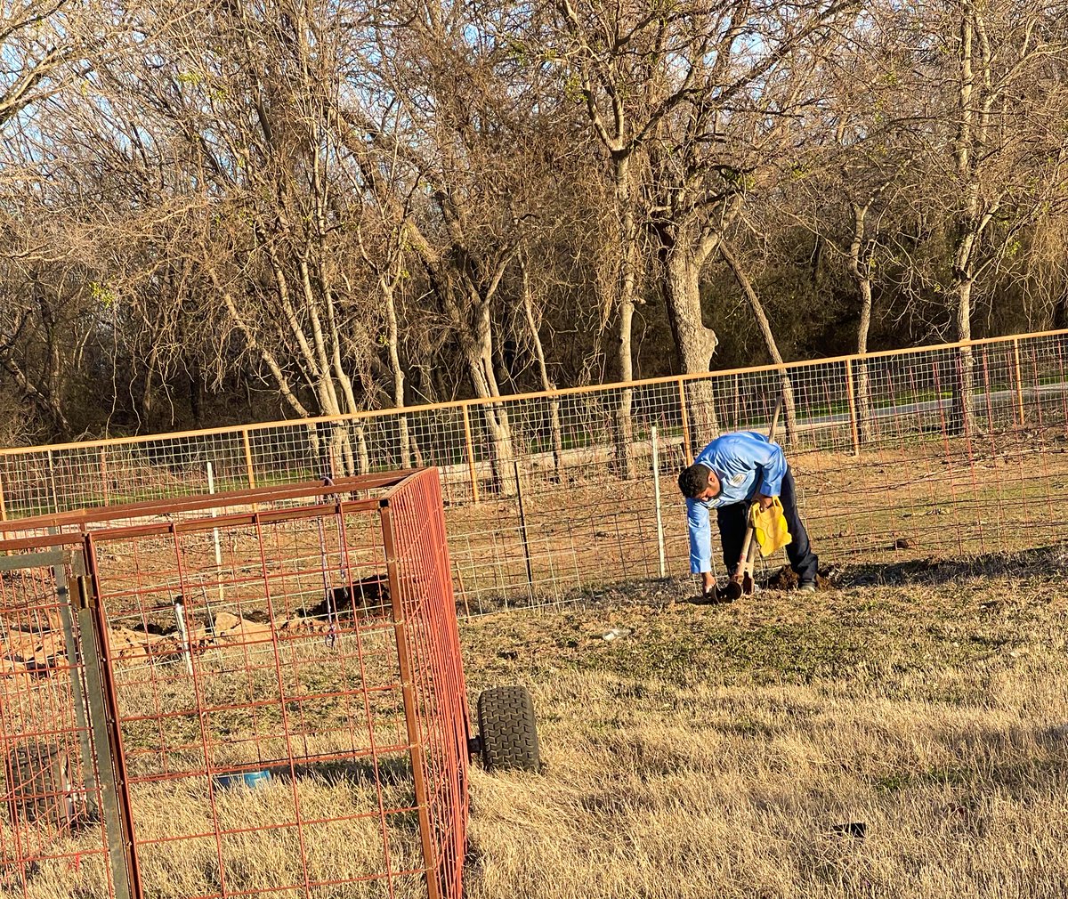 AutismNotEvery1's tweet photo. While Dayi is making holes, a boy and his lamb enjoy the weather. The dogs and alpacas are also enjoying the weather in our front lawn. How different it all looks at different angles of our yard. #SmileWithLittleD #SpringAroundTheCorner https://t.co/fSsuBnYunN