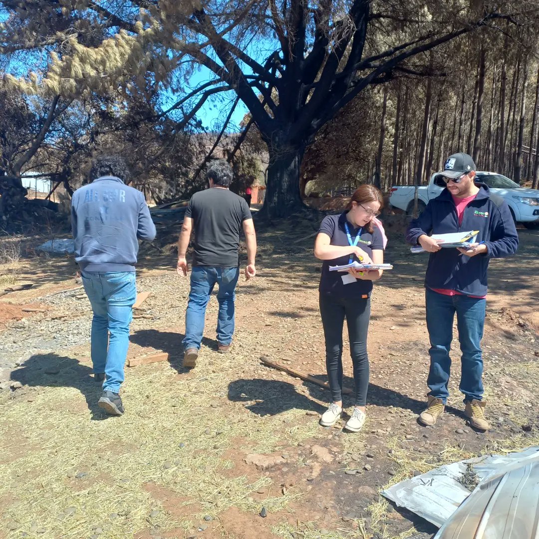 muni_renaico's tweet photo. Municipalidad de Renaico junto a @DesafioChile realizaron un levantamiento de información en los sectores de la comuna afectados por el fuego,con el fin de construir próximamente las viviendas definitivas  🏡
#JuntosNosLevantamos 
#IncendiosForestales https://t.co/BD41Vp1769