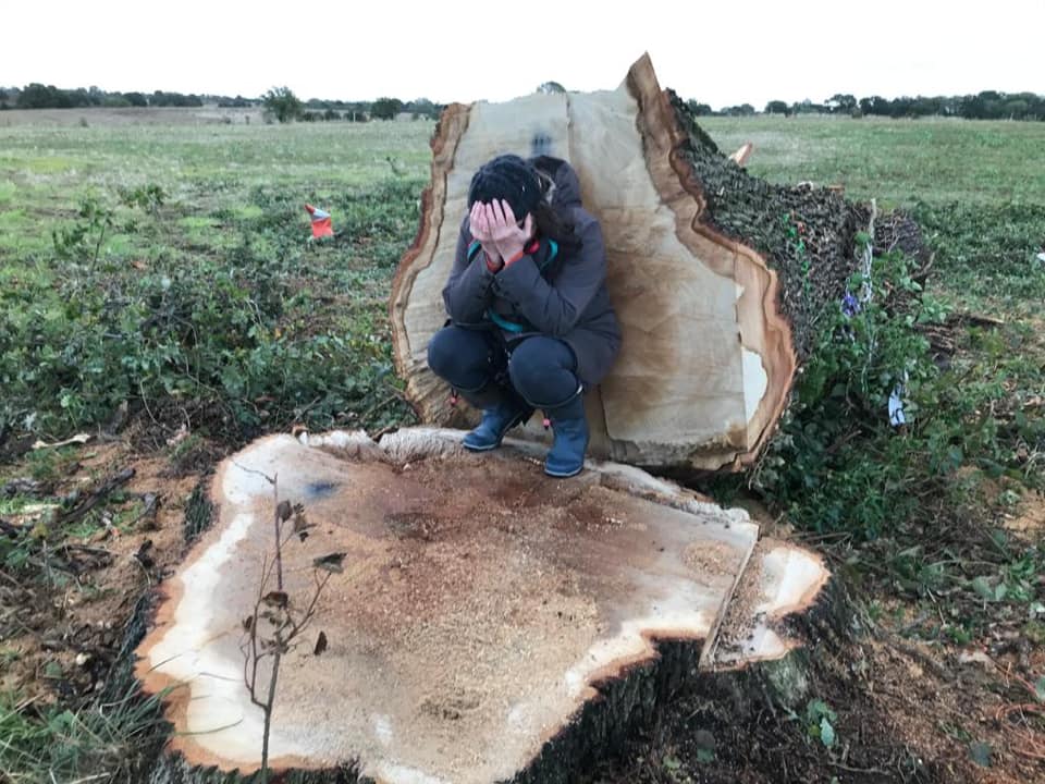 Hs2Rebellion's tweet photo. Remembering the #HunninghamOak, a mature oak #tree π³, nominated for Tree of the Year 2020. This oak stood for 300 years on a country lane between the two villages of Hunningham & Offchurch. Then #HS2 @Hs2ltd destroyed it in minutes. #StopHS2 #Ecocide https://t.co/lz0gcfcgpQ https://t.co/82KGqAk9Tb
