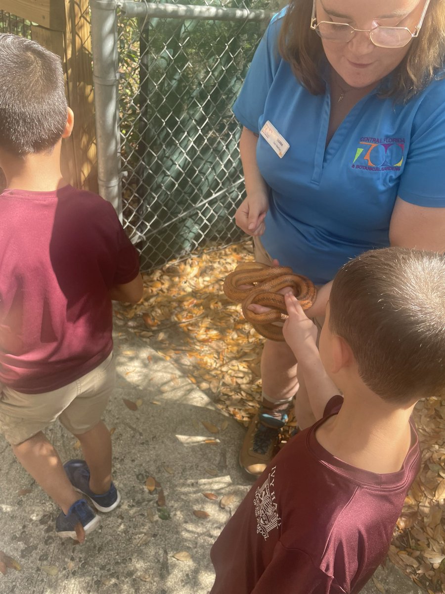 Kindergarten took an adventure to the zoo today 🐒 #ivyhawn <a href="/IvyHawnSuhr/">Ivy Hawn Principal</a> <a href="/PrycelessAP/">Alicia Pryce</a>